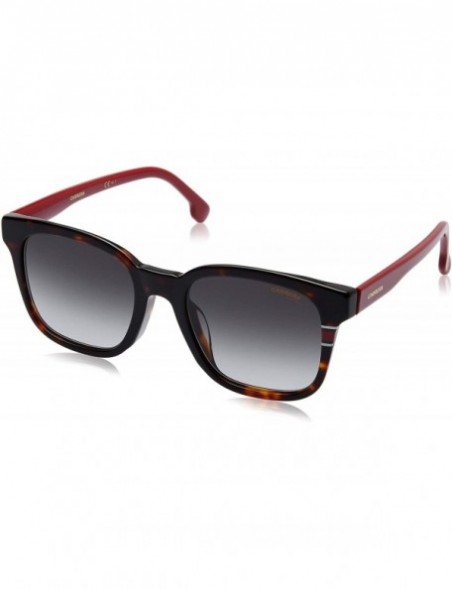 Sport 185/F/S Sunglasses CA185FS-0O63-9O-5321 - Havana Red Frame- Dark Gray Gradient Lenses - CZ18IH6KN02 $46.39