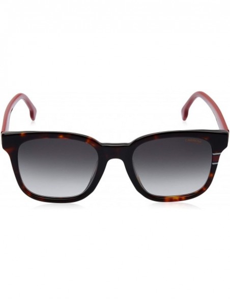 Sport 185/F/S Sunglasses CA185FS-0O63-9O-5321 - Havana Red Frame- Dark Gray Gradient Lenses - CZ18IH6KN02 $46.39