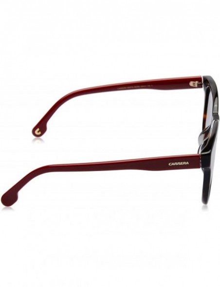 Sport 185/F/S Sunglasses CA185FS-0O63-9O-5321 - Havana Red Frame- Dark Gray Gradient Lenses - CZ18IH6KN02 $46.39