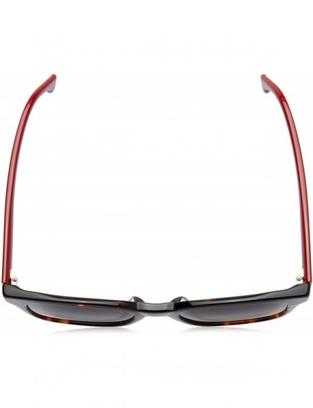 Sport 185/F/S Sunglasses CA185FS-0O63-9O-5321 - Havana Red Frame- Dark Gray Gradient Lenses - CZ18IH6KN02 $46.39