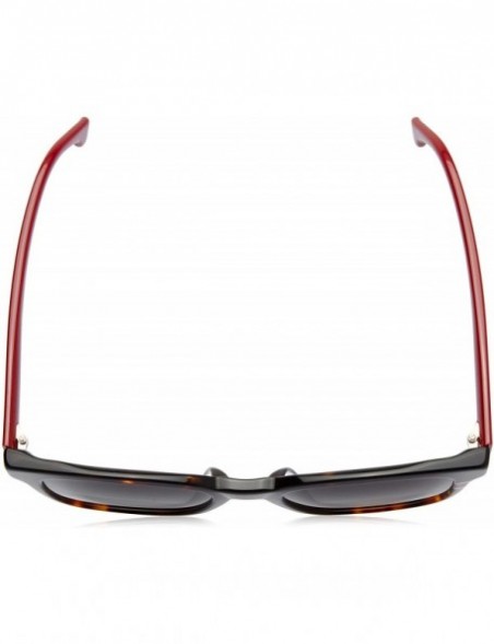 Sport 185/F/S Sunglasses CA185FS-0O63-9O-5321 - Havana Red Frame- Dark Gray Gradient Lenses - CZ18IH6KN02 $46.39