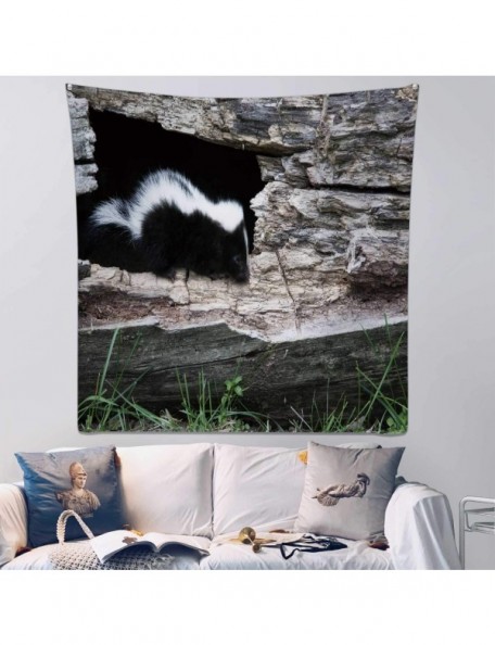Goggle Baby Skunk Wisconsin-Wall Hanging Tapestry Skunk for Decor 39.3X39.3Inch - Color 10 - C61992IAQTO $24.87