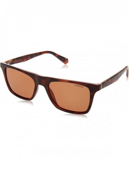 Rectangular SUNGLASSES PLD 6110 S L9G HE HAVANA BROWN POLARIZED LENSES - CX194NO8OYM $38.74