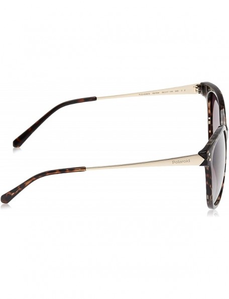 Oval Women's PLD4048/S Polarized Oval Sunglasses - Azure Havana - 56 mm - CU12MZ8TLN8 $54.64