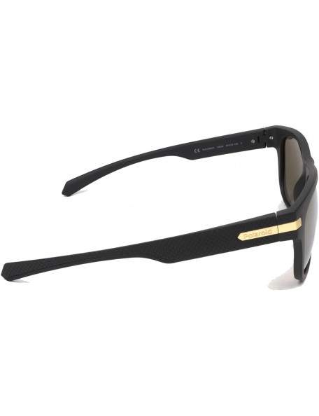 Square Men's Pld2065/S Square Sunglasses - Black Gold - C0180LHDMQT $52.64