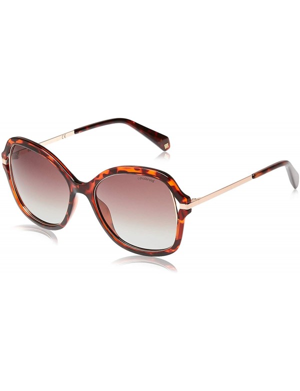 Square Women's Pld4068/S Square Sunglasses - Dkhavana - C918C4XLLMA $94.04