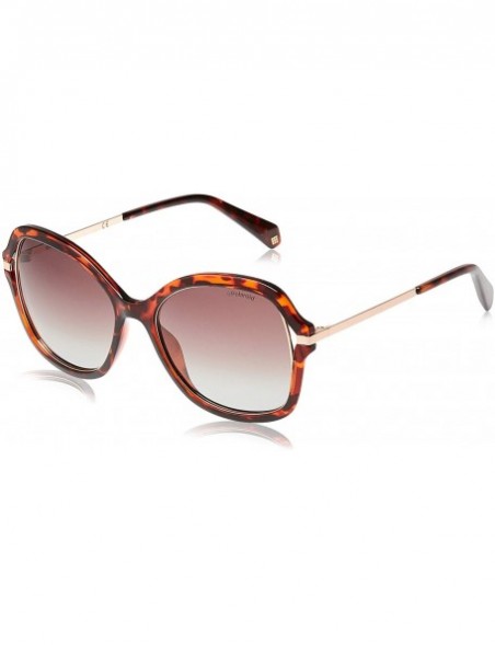 Square Women's Pld4068/S Square Sunglasses - Dkhavana - C918C4XLLMA $46.46