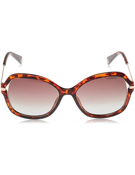 Square Women's Pld4068/S Square Sunglasses - Dkhavana - C918C4XLLMA $94.04