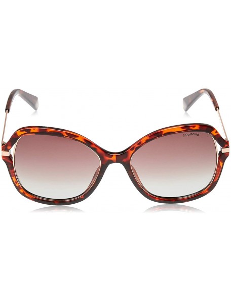 Square Women's Pld4068/S Square Sunglasses - Dkhavana - C918C4XLLMA $46.46