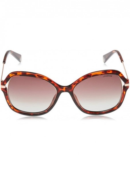 Square Women's Pld4068/S Square Sunglasses - Dkhavana - C918C4XLLMA $94.04
