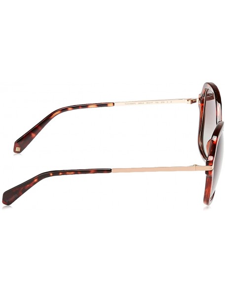 Square Women's Pld4068/S Square Sunglasses - Dkhavana - C918C4XLLMA $94.04