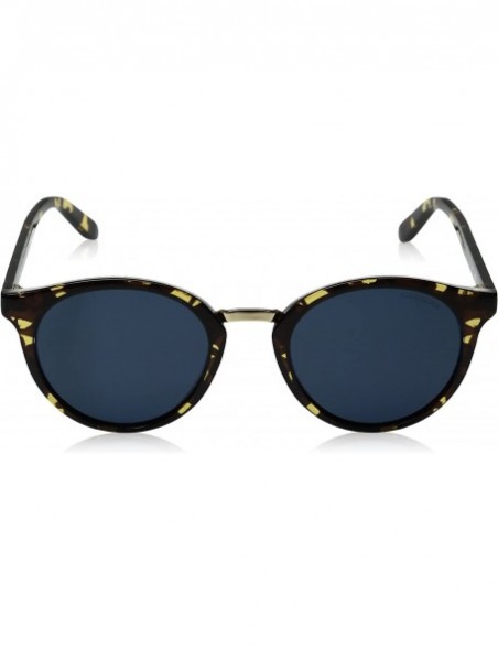 Sport Men's CA5036/S Round Sunglasses - Havana/Blue Avio - CB12LO4CFH3 $49.80