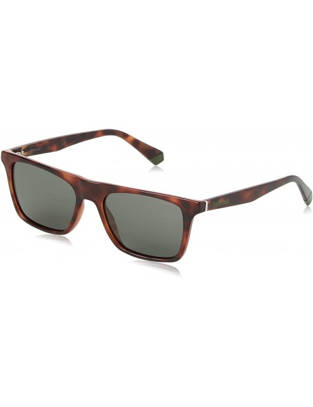 Rectangular SUNGLASSES PLD 6110 S XGW UC HAVANA GREEN POLARIZED LENSES - CT194NOK40M $35.99