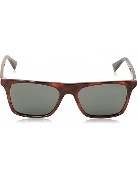 Rectangular SUNGLASSES PLD 6110 S XGW UC HAVANA GREEN POLARIZED LENSES - CT194NOK40M $35.99