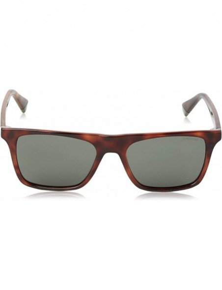 Rectangular SUNGLASSES PLD 6110 S XGW UC HAVANA GREEN POLARIZED LENSES - CT194NOK40M $35.99