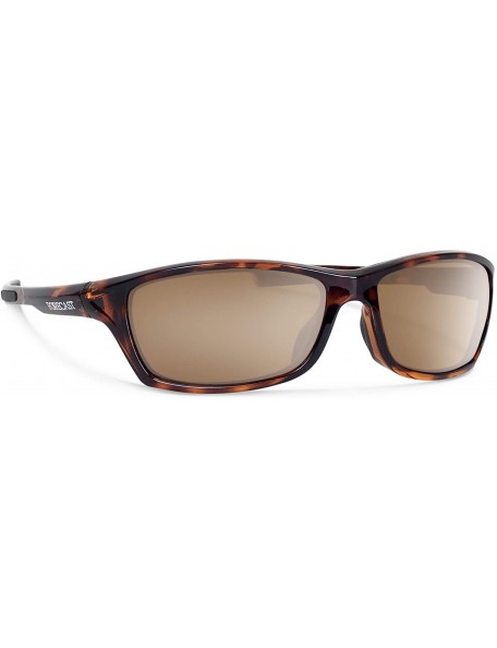 Rectangular Chet Sunglass - Tortoise - CG11EAZC4Y7 $19.78