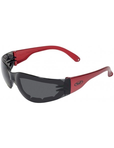 Goggle Eyewear Rider Plus Series Foam Padded Safety Glasses - CE18CE5KRZO $15.47