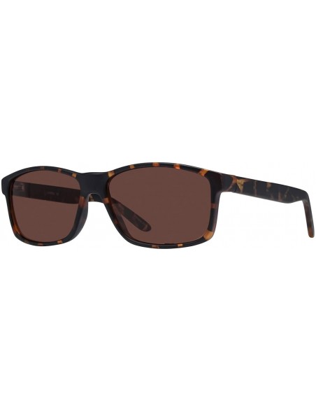 Rectangular Chris Men's Sunglasses - Matte Tortoise/Brown - CI18XIW32DN $35.79
